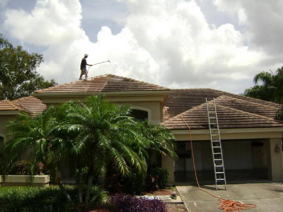 ROOF CLEANING TAMPA