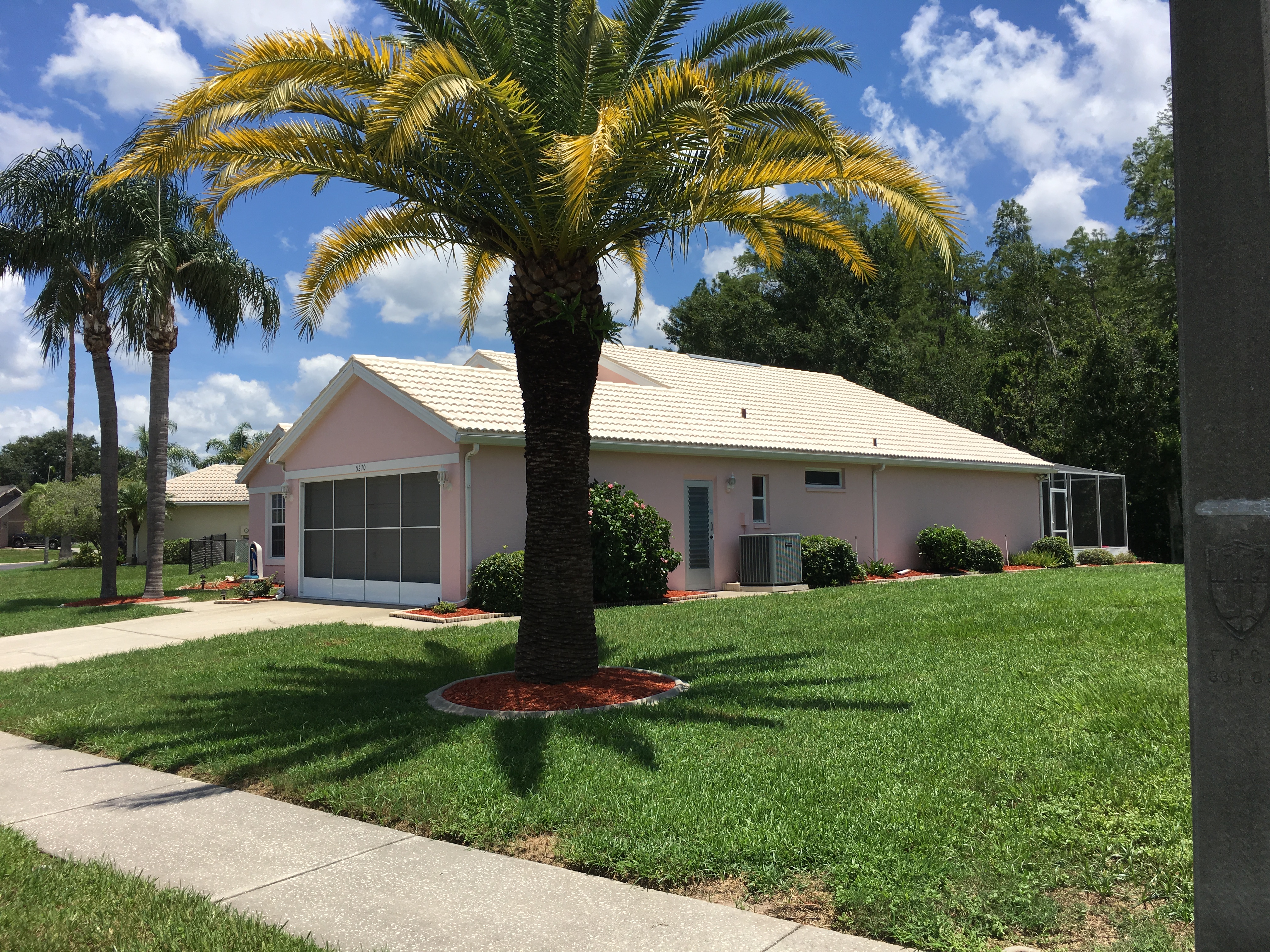 pressure-washing-roof-cleaning-new-port-richey-fl.jpg