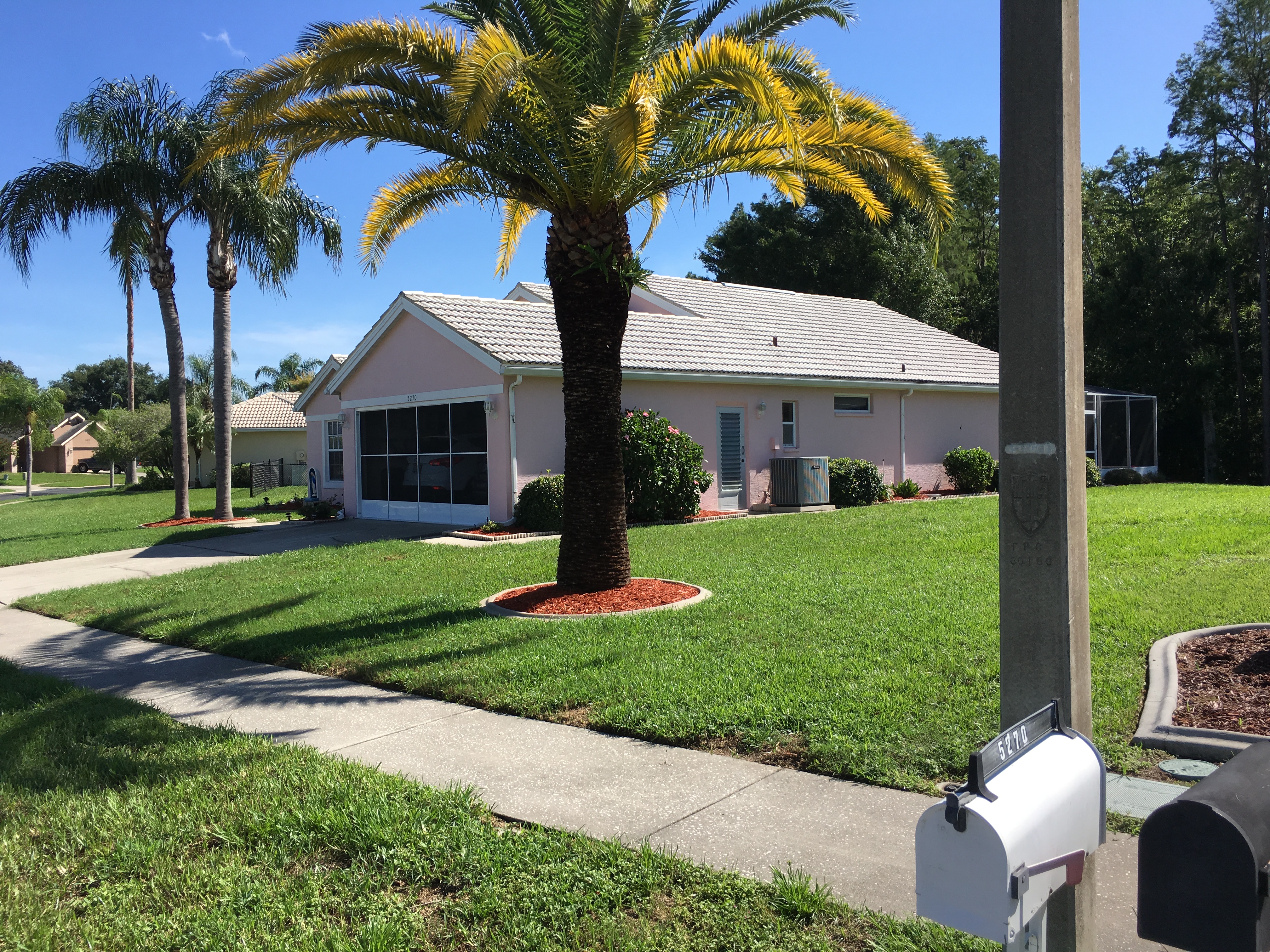 Roof Cleaning Tampa Licensed And Bonded Tampa Roof Cleaning Company